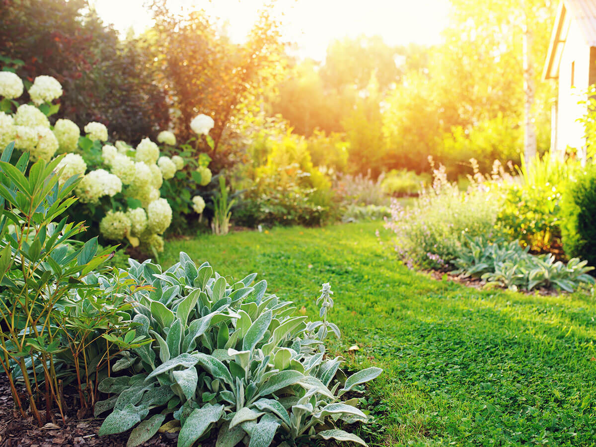 Planting and border design service by Elms Gardens, Dorset